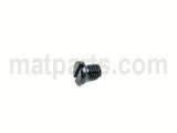 SS6080410SP SCREW